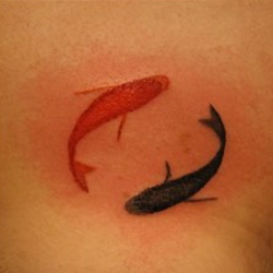 Yin and Yang Koi – Just Completed